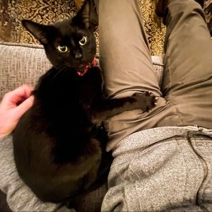 Meet your Posher, Dan